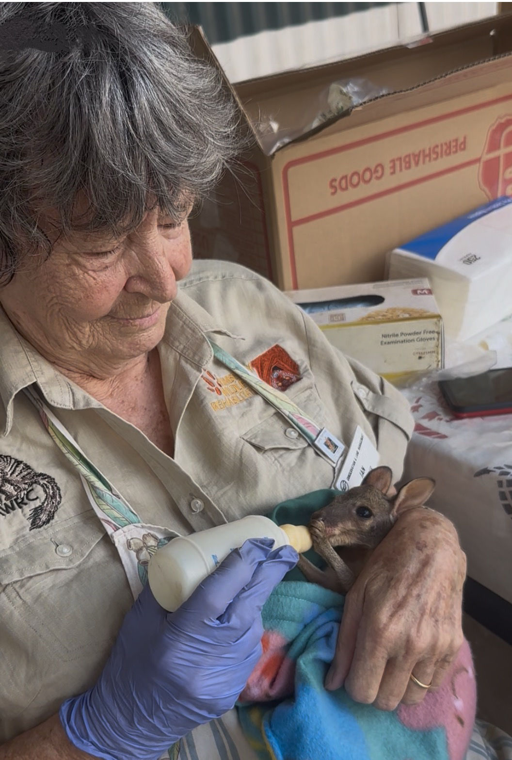 Jan feeding a joey