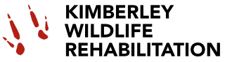 Kimberley Wildlife Rehabilitation logo